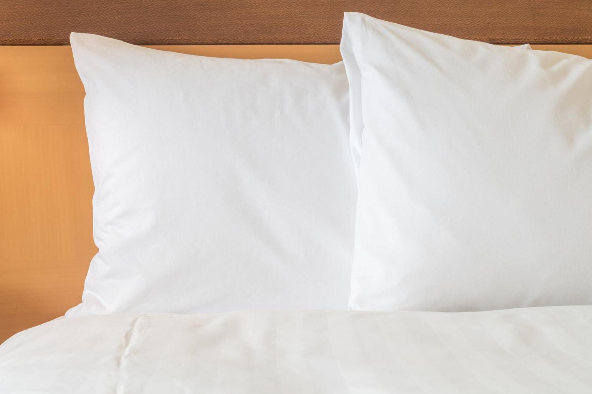 Holiday Inn Express Big Rapids By Ihg Eksteriør bilde